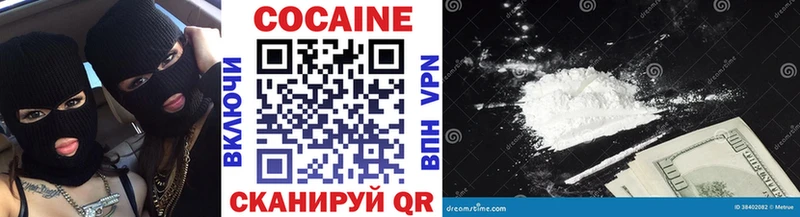 Купить  Ветлуга  COCAIN Fish Scale 