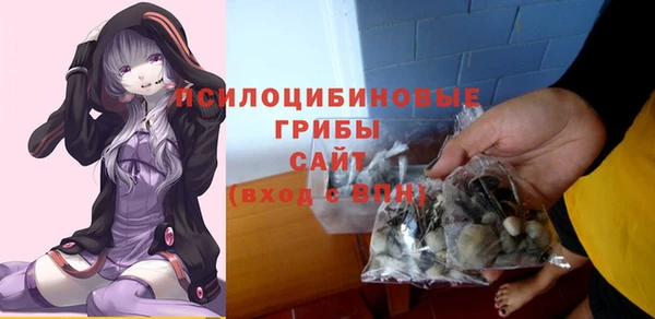 не бодяженный Арсеньев
