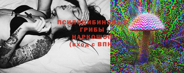 дживик Аркадак
