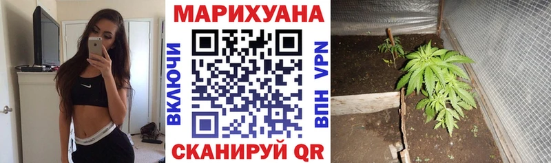 Купить закладки  Ветлуга  Марихуана LSD WEED 